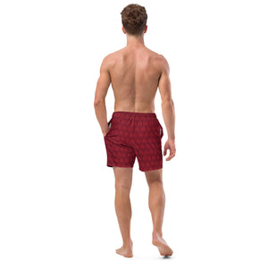 Men's swim trunks Sailing Anarchy